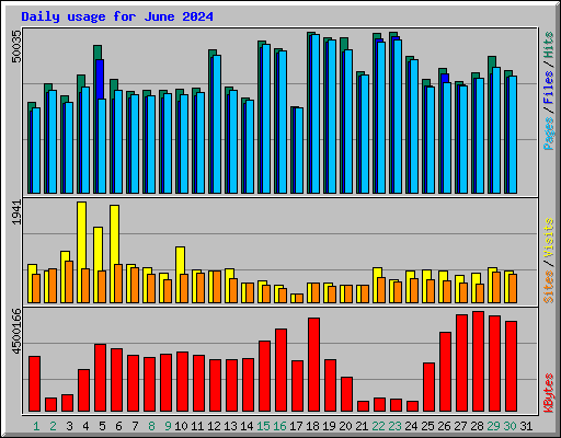 Daily usage for June 2024