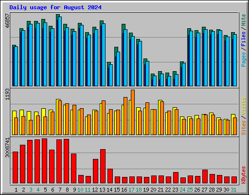 Daily usage for August 2024