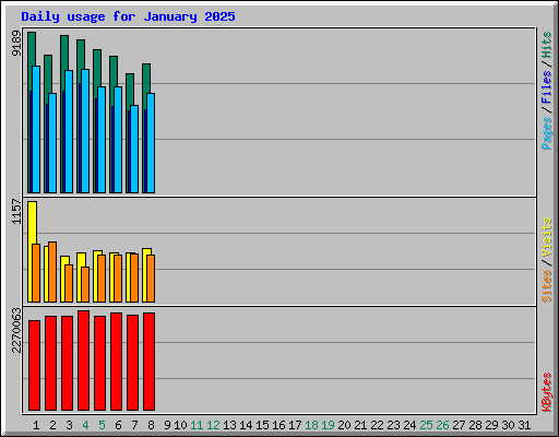 Daily usage for January 2025