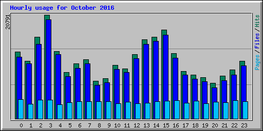 Hourly usage for October 2016