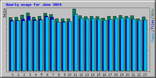 Hourly usage for June 2024