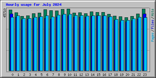 Hourly usage for July 2024