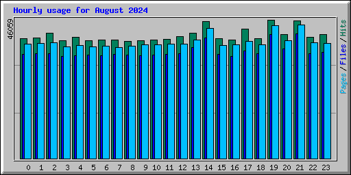 Hourly usage for August 2024