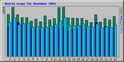 Hourly usage for November 2024