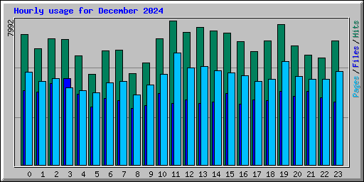 Hourly usage for December 2024