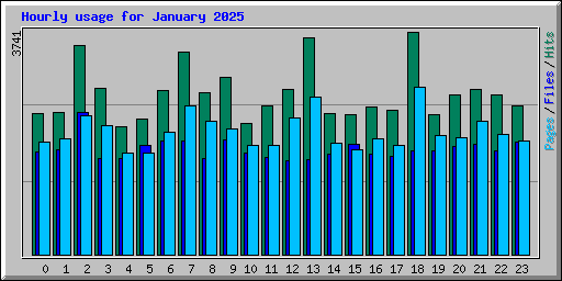 Hourly usage for January 2025