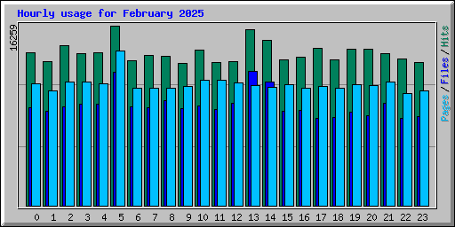 Hourly usage for February 2025